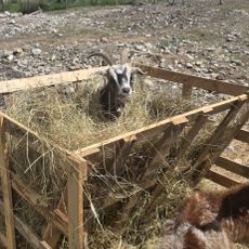 La Mini Ferme De Crots