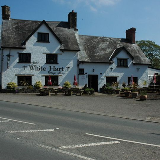 White Hart