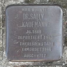 Sally Kaufmann
