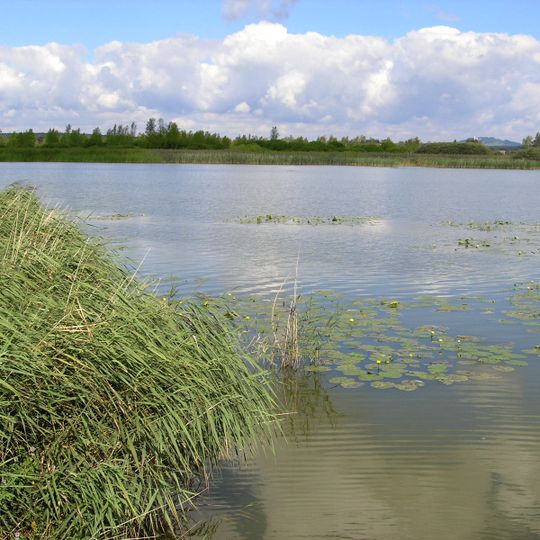 FFH-Gebiet Federsee und Blinder See bei Kanzach