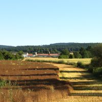 Mladějovice (Čejetice)