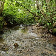 Krebsbachtal