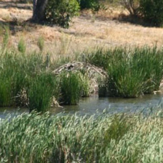 Benicia State Recreation Area