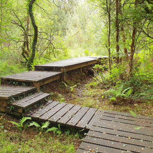 Tourbière du Mougau