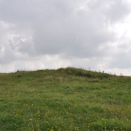 A pair of bowl barrows 500m north east of Overhill Lodge
