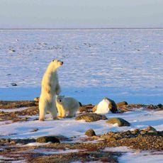 Wapusk National Park