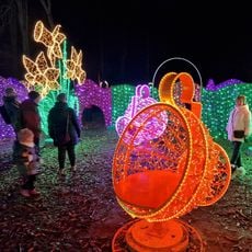 Sezonowa wystawa Książęcy Park Iluminacji ,,Baśniowe Zatonie”
