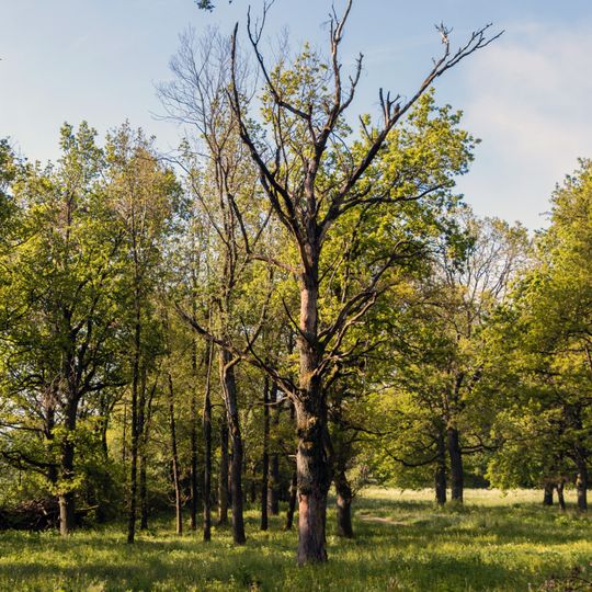 Seeanger bei Oberkrumbach