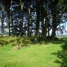 Defended settlement, 100m north west of Chester Cottage