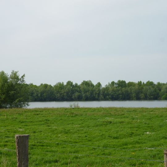Rheinvorland bei Perrich