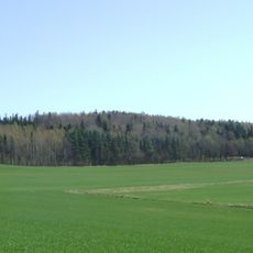 Wrona