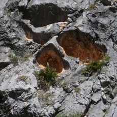 Pla de Petracos (Abric VII)