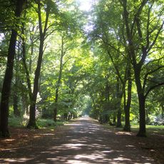 Alexandra Park, Manchester