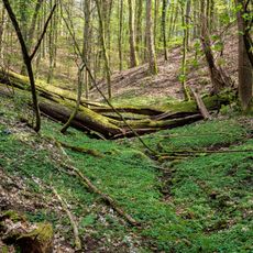 Wald zwischen L119 im Norden, der Landesgrenze und Kirrberg im [Sued]Osten sowie Homburg im Westen
