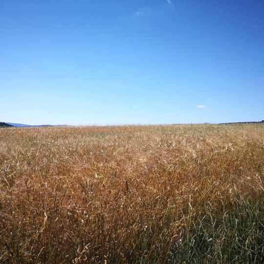 Mohylové pohřebiště