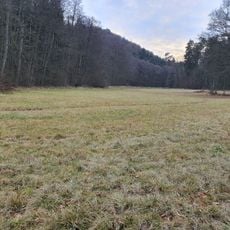 Nasswiese am Lochbach