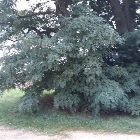 Kříž severozápadně od Pohoří u rozcestí