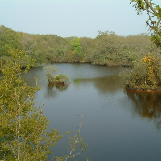 Red Moor nature reserve