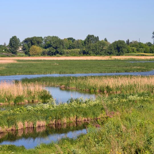 Charukiv nature reserve