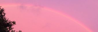Maria Bopp Profile Cover