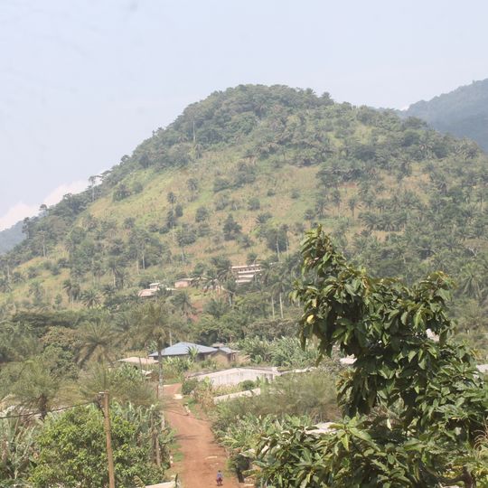 Mont Nlonako Wildlife Reserve