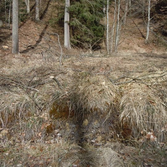 Hangquellmoor Lindach