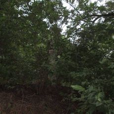 Kříž ve křoví v zatáčce východně od Nevolic