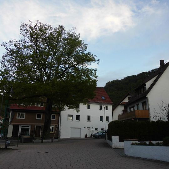 Friedenslinde Kirchplatz Honau