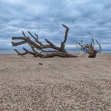 Ardeer Beach