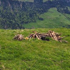 Ankenhubel
