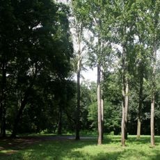 Park in Szydlow