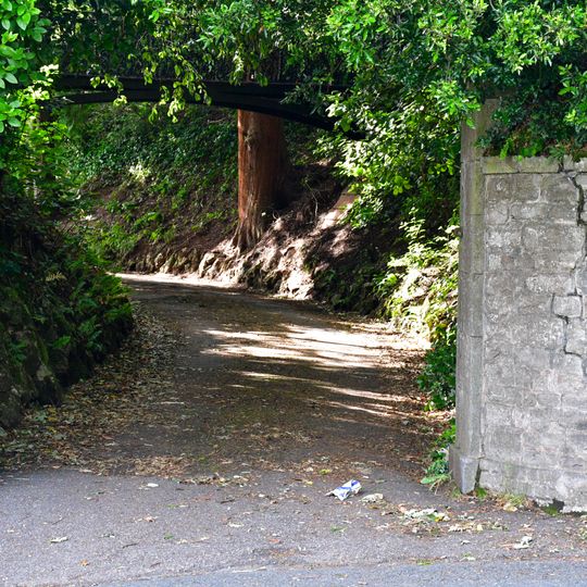 Footbridge In Grounds Of Dun Esk At Sx 9463 7412