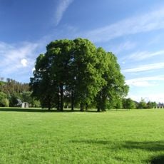 Park of Manor Strážky