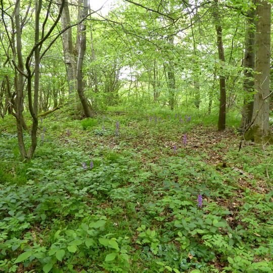 Weper, Gladeberg, Aschenburg