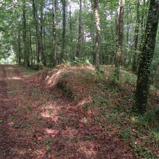 Oppidum du Poulailler