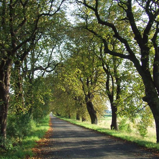 Park z aleją dojazdową