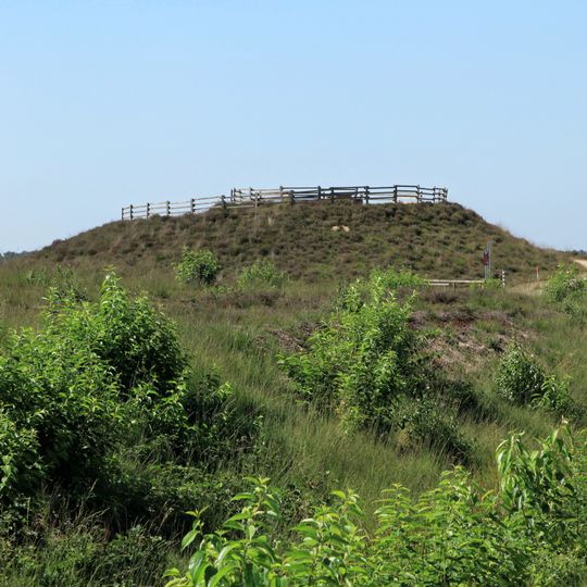 Dalum-Wietmarscher Moor