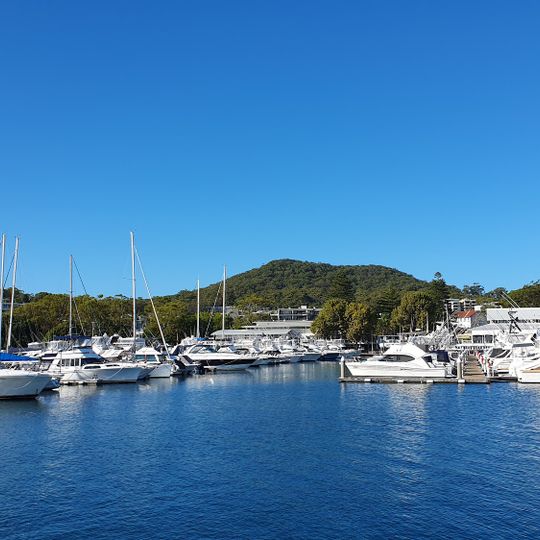 D'Albora Marina