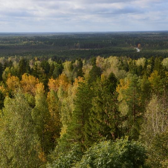 Municipalité rurale d'Alutaguse