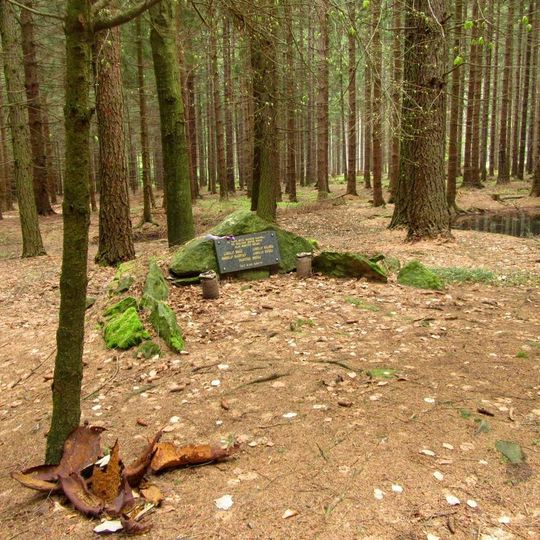 Pomník padlým u Borové v lese