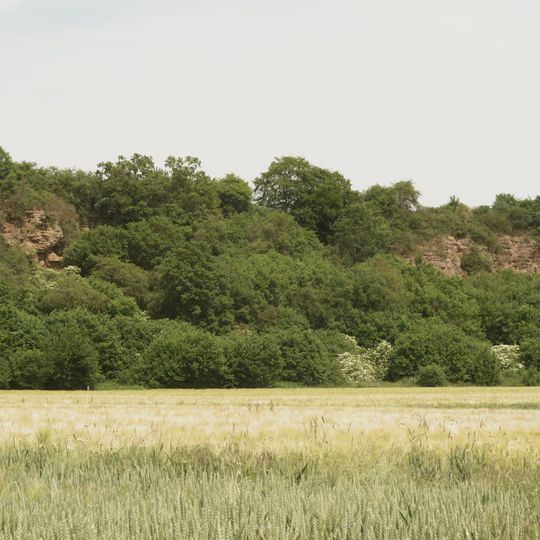 Zechsteinhänge bei Lieschensruh
