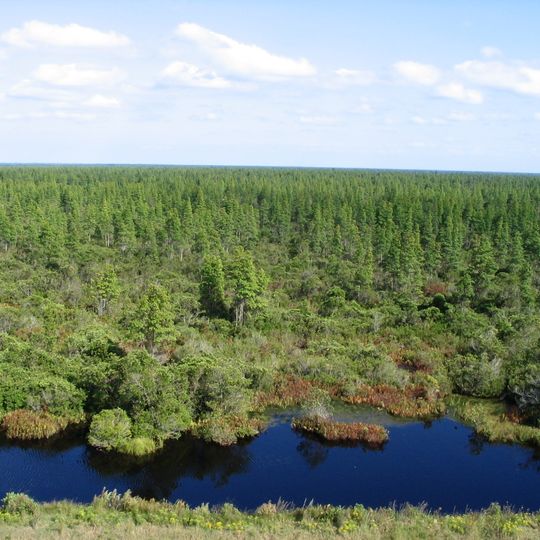 Pocosin Lakes National Wildlife Refuge
