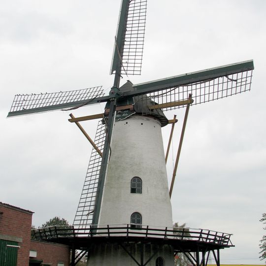 De Witte Molen