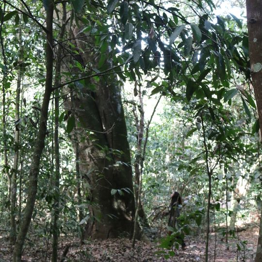 Parque Estadual do Prosa