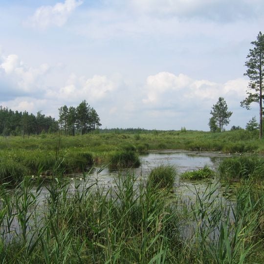 Polissya Nature Reserve