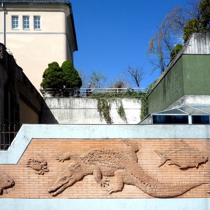 Zoológico de Berlín