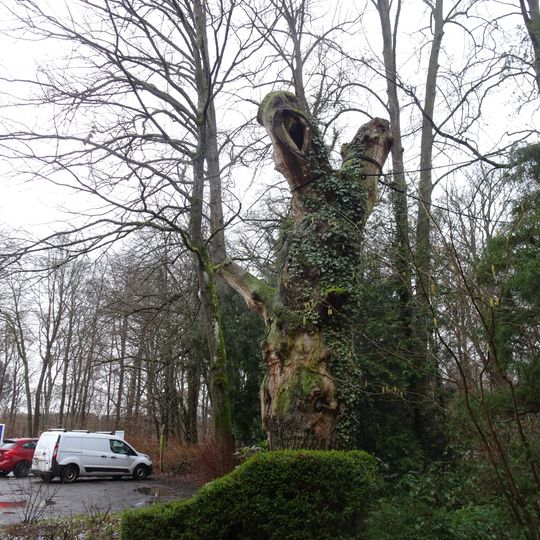 Blüchereiche in Ratekau