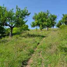 Stráně nad Chomutovkou