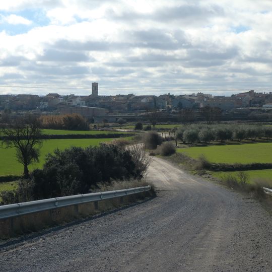 Espai Natural Protegit d'Anglesola-Vilagrassa