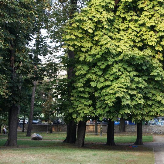 Cmentarz staroluterański w Toruniu